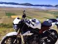 Triumph Street Triple 765 R Bianco - thumbnail 3