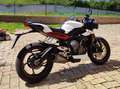 Triumph Street Triple 765 R Bianco - thumbnail 4