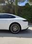 Porsche Panamera 4 e-Hybrid Blanco - thumbnail 6