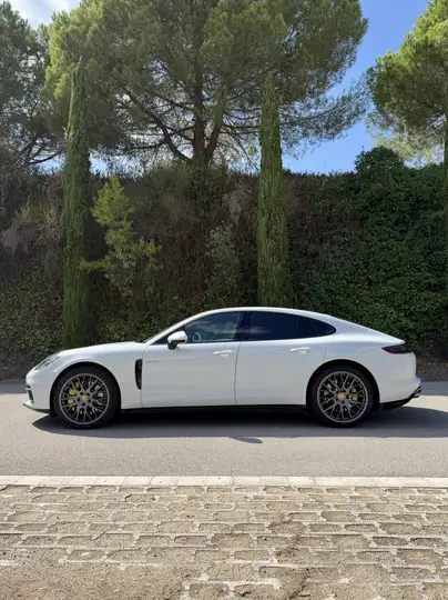 Porsche Panamera 4 E-Hybrid 2018, foto 3