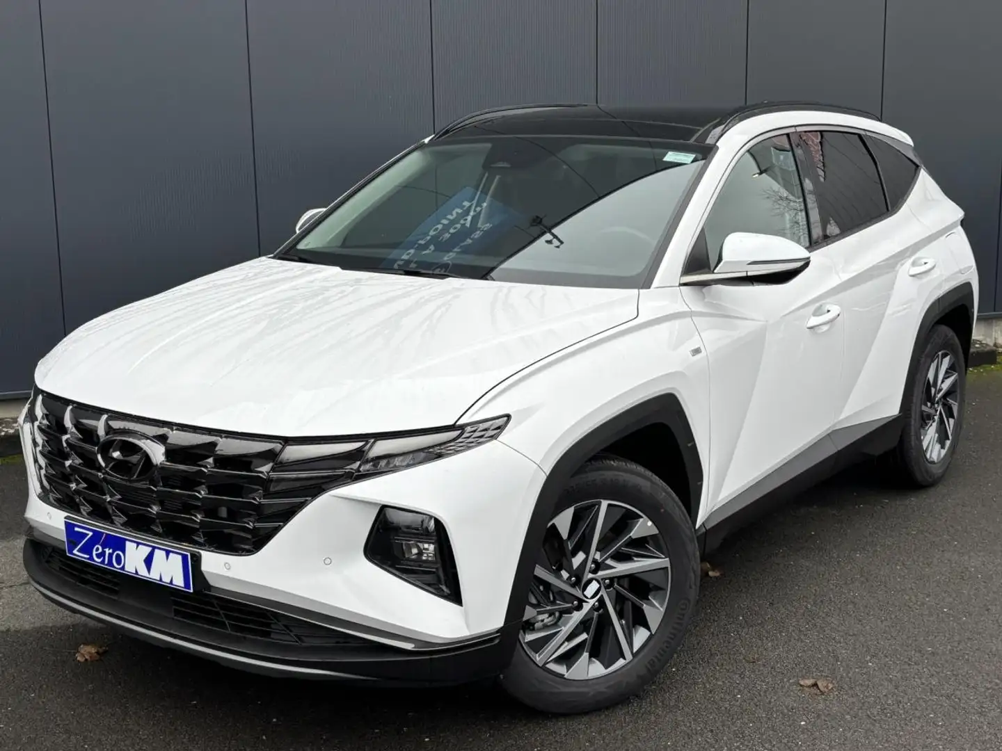 Hyundai TUCSON NV 1.6 CRDI 136 Hybrid 48V Tecno Sky avec Toit ouv Blanc - 2