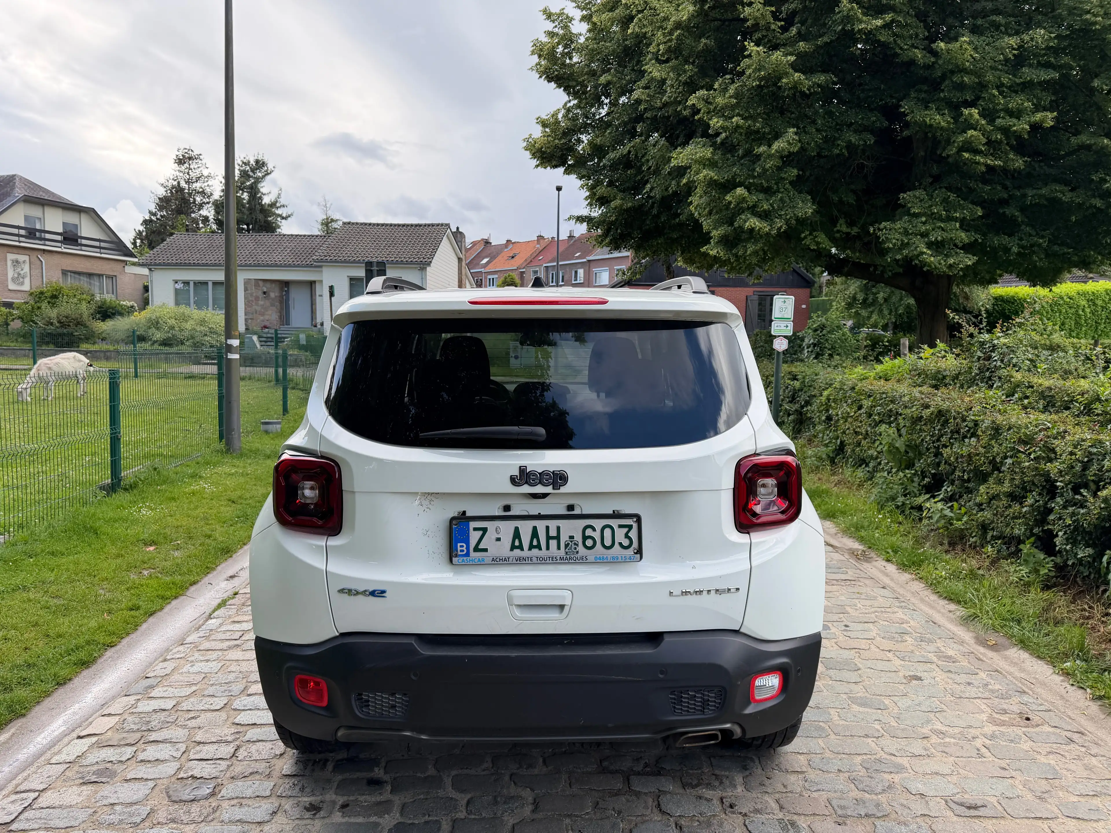 Jeep Renegade Renegade PHEV 1.3 T4 AWD Limited DDCT — photo 13
