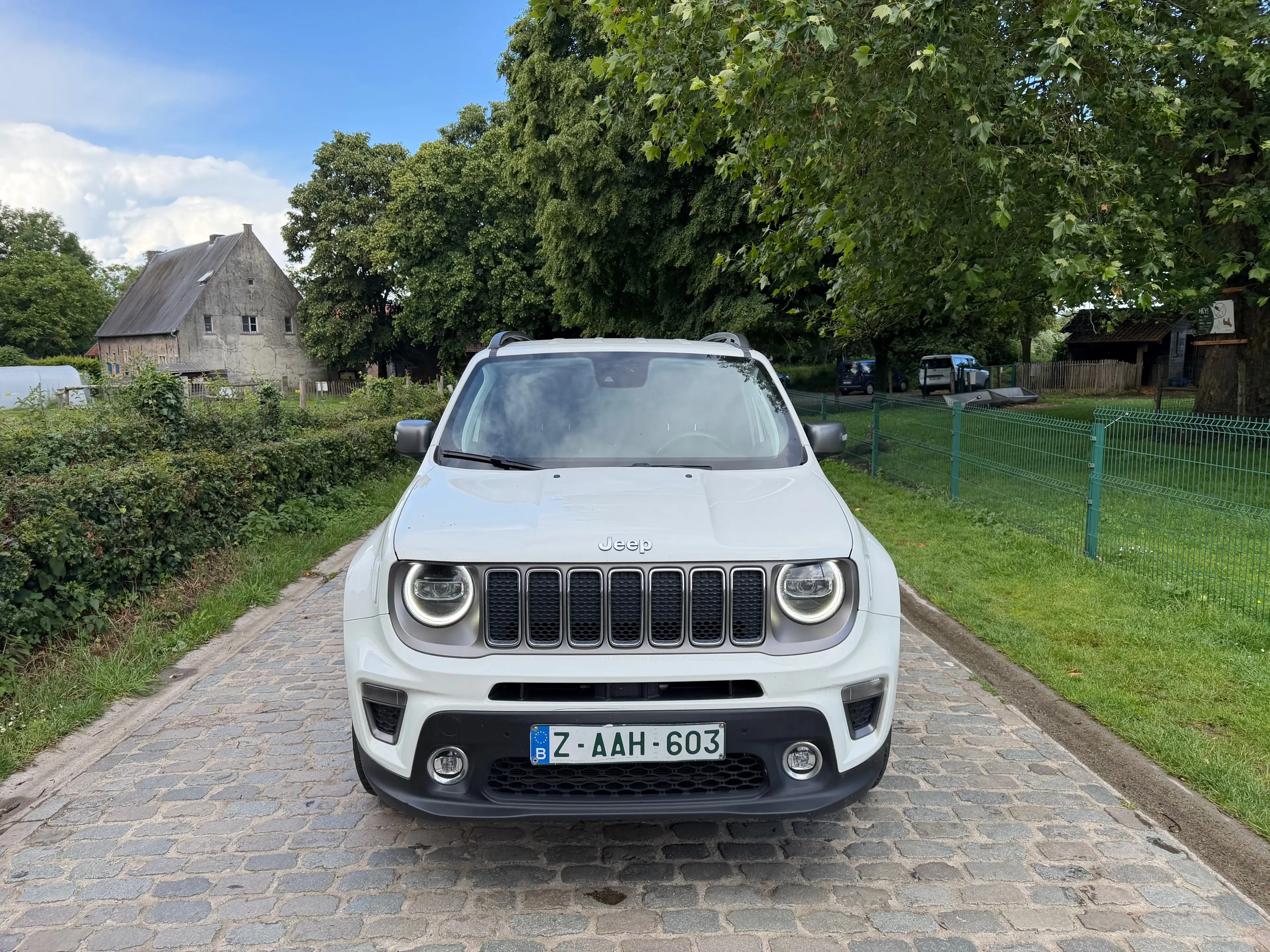 Jeep Renegade Renegade PHEV 1.3 T4 AWD Limited DDCT — photo 2