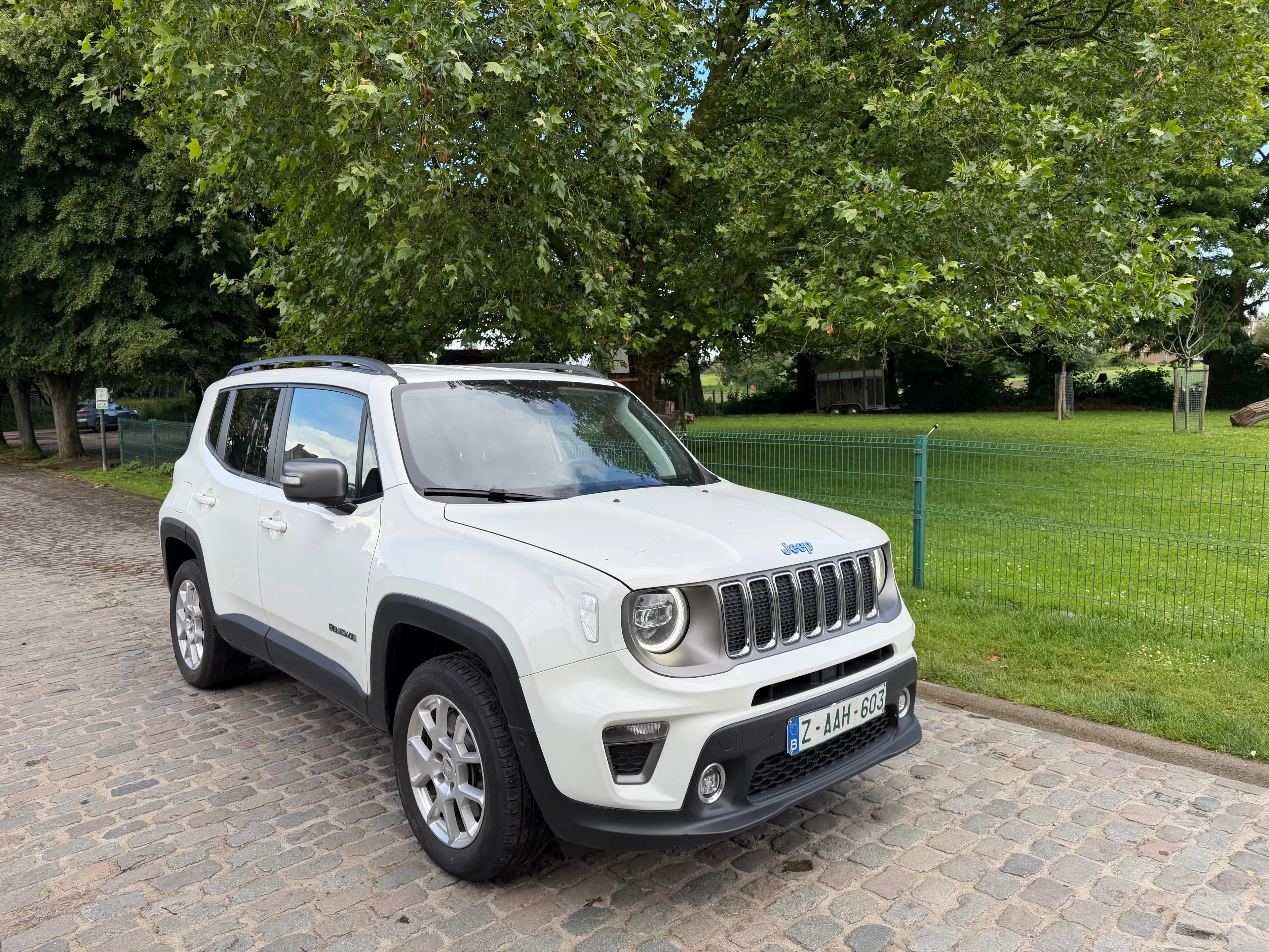 Jeep Renegade Renegade PHEV 1.3 T4 AWD Limited DDCT