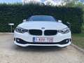 BMW 420 420d Cabrio Aut. Blanc - thumbnail 47