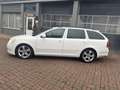 Skoda Octavia Combi 1.8 TSI Elegance Business Line Automaat EXPO Wit - thumbnail 3