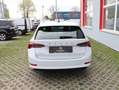 Skoda Octavia 2.0 TDI Style Combi | Head-Up | AHK | LED | NAVI | Weiß - thumbnail 6