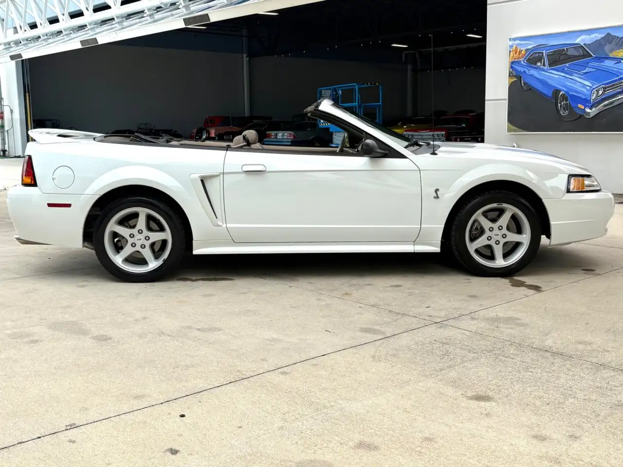 Ford Mustang SVT, foto 5