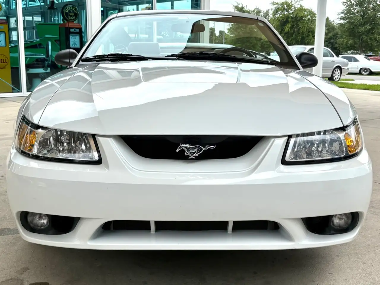 Ford Mustang SVT, foto 2