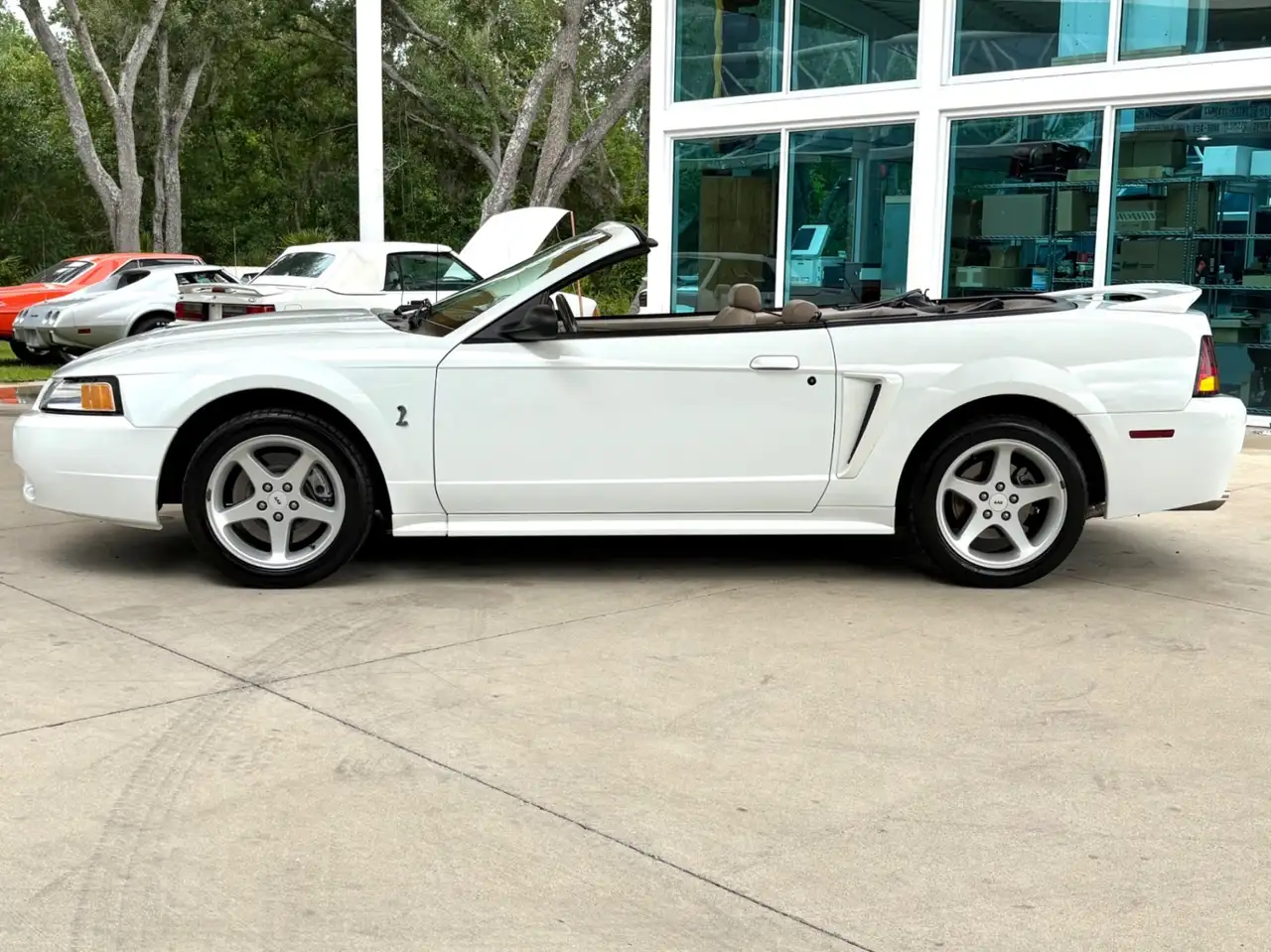 Ford Mustang SVT, foto 10