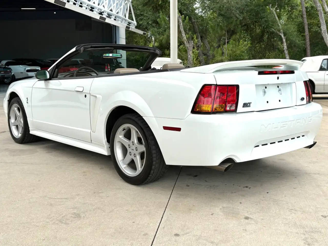 Ford Mustang SVT, foto 9