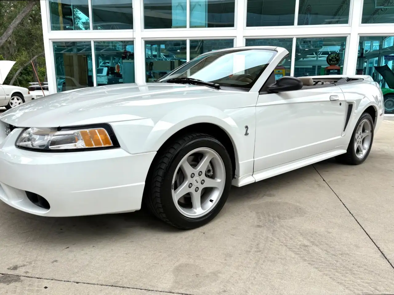 Ford Mustang SVT, foto 12