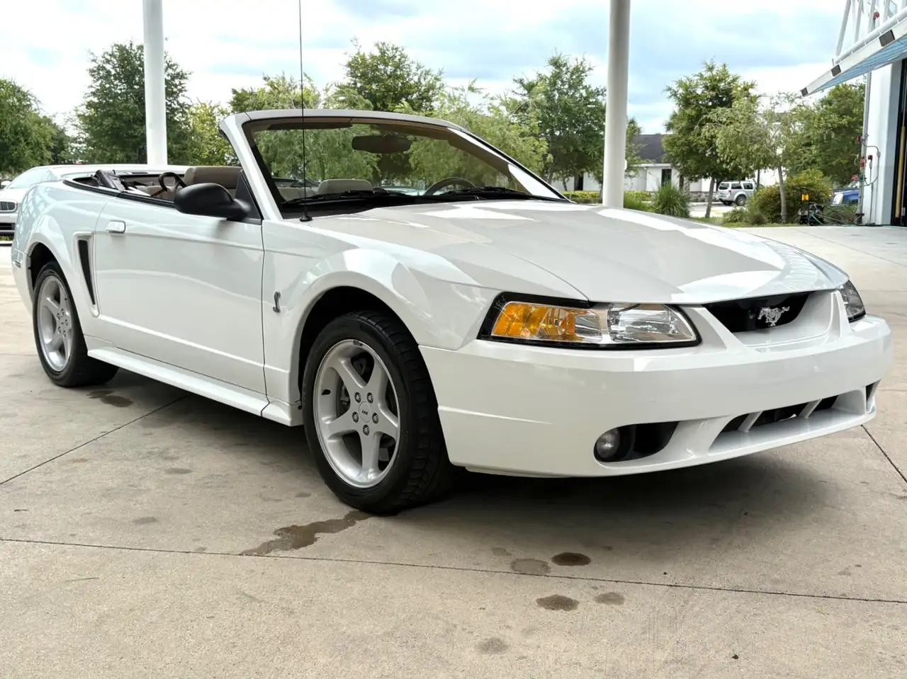 Ford Mustang SVT, foto 4