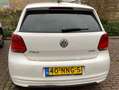 Volkswagen Polo 1.2 TDI Bl.M. Comfl. Lees omschrijving nieuwemotor Wit - thumbnail 3