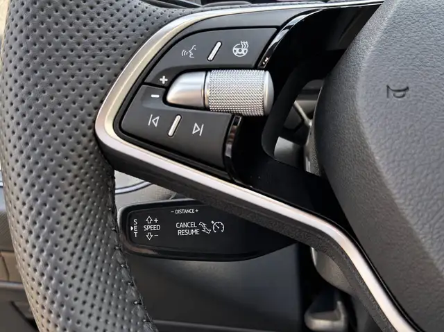 Skoda Kodiaq view 12