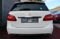 Mercedes-Benz B 200 Urban Style Edition AUTOMATIK KLIMA NAVI Weiß - thumbnail 24
