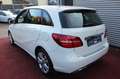 Mercedes-Benz B 200 Urban Style Edition AUTOMATIK KLIMA NAVI Weiß - thumbnail 6