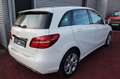 Mercedes-Benz B 200 Urban Style Edition AUTOMATIK KLIMA NAVI Weiß - thumbnail 14