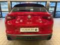 Alfa Romeo Stelvio Stelvio 2017 2.2 t Business Q4 180cv auto Rouge - thumbnail 5