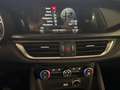 Alfa Romeo Stelvio Stelvio 2017 2.2 t Business Q4 180cv auto Rouge - thumbnail 12