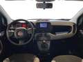 Fiat Panda 1.0 FireFly S&S Hybrid City Life Bianco - thumbnail 14