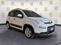 Fiat Panda 1.0 FireFly S&S Hybrid City Life Bianco - thumbnail 8