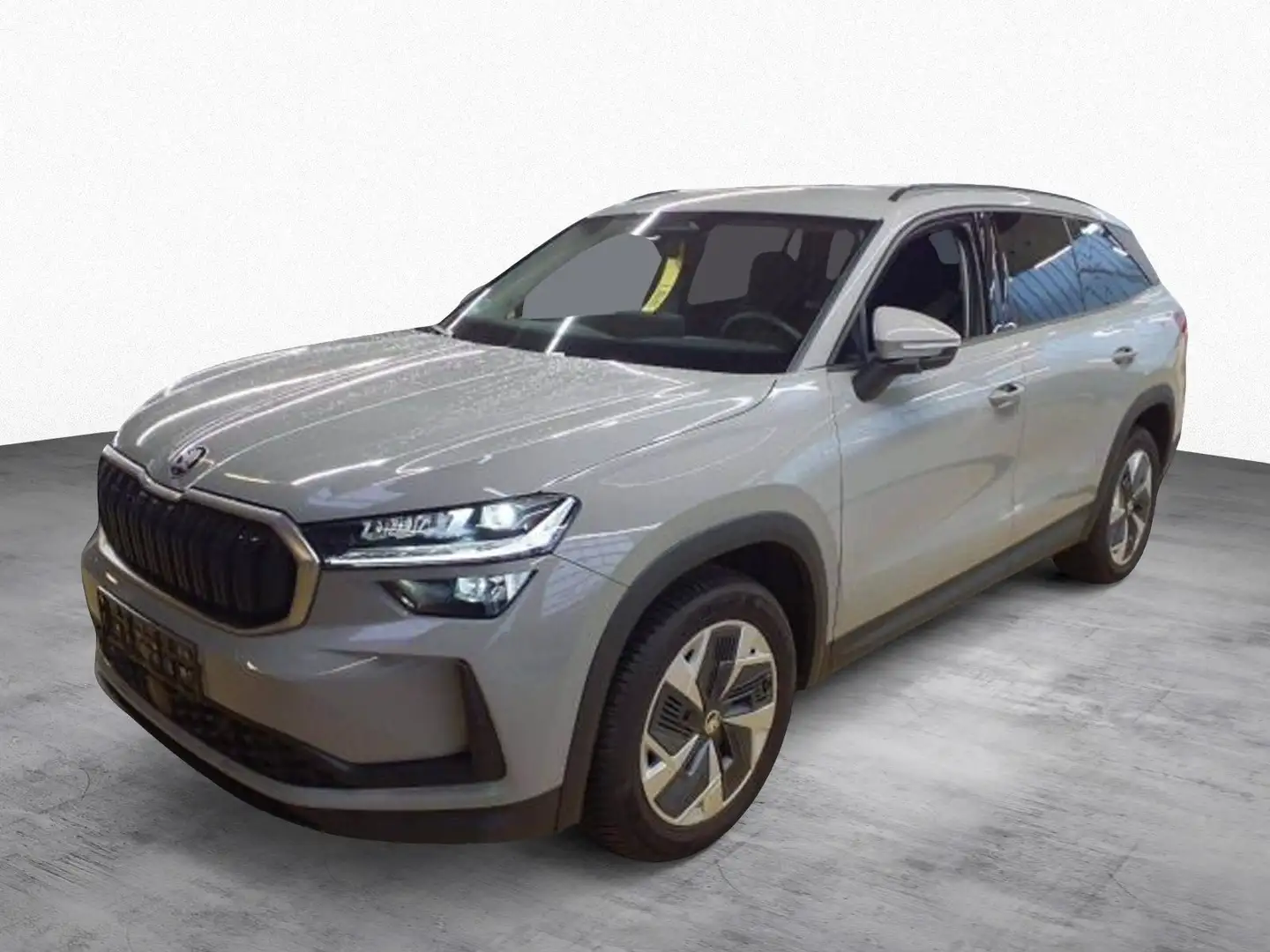 Skoda Kodiaq 1.5 TSI DSG Selection Navi Kamera Matrix Grau - 2