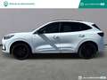 Ford Kuga 2.5 Duratec 243ch Hybride Rechargeable ST-Line X Powershift Weiß - thumbnail 5