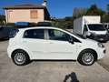 Fiat Punto Evo PER NEOPATENTATI Bianco - thumbnail 6