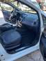 Fiat Punto Evo PER NEOPATENTATI Bianco - thumbnail 11