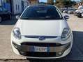 Fiat Punto Evo PER NEOPATENTATI Bianco - thumbnail 1