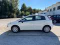 Fiat Punto Evo PER NEOPATENTATI Bianco - thumbnail 2