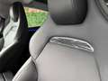 Tesla Model 3 Model 3 PERFORMANCE * MWST * 20 ZOLL* CARBON * SOLID BLACK * Schwarz - thumbnail 16