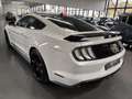 Ford Mustang 5.0 V8 FIFTY FIVE YEARS Blanc - thumbnail 5