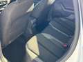 Volkswagen Polo 5p 1.0 tsi Highline 95cv  Ok x Neopaten.- PERFETTA Bianco - thumbnail 12