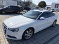 Audi A5 Sportback S-Line 2.0 140kW TDI Weiß - thumbnail 9