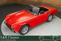 Triumph TR4 Cabriolet | 1964 Rot - thumbnail 1