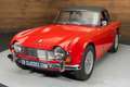 Triumph TR4 Cabriolet | 1964 Rot - thumbnail 15