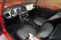 Triumph TR4 Cabriolet | 1964 Rot - thumbnail 13