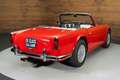 Triumph TR4 Cabriolet | 1964 Rot - thumbnail 16