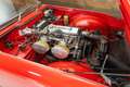 Triumph TR4 Cabriolet | 1964 Rot - thumbnail 19