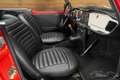 Triumph TR4 Cabriolet | 1964 Rot - thumbnail 8