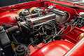 Triumph TR4 Cabriolet | 1964 Rot - thumbnail 5