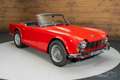 Triumph TR4 Cabriolet | 1964 Rot - thumbnail 4