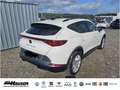 CUPRA Formentor 2.0 TDI DSG 4Drive NAVI PARK ACC LED SITZHZG Weiß - thumbnail 3