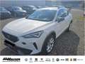 CUPRA Formentor 2.0 TDI DSG 4Drive NAVI PARK ACC LED SITZHZG Weiß - thumbnail 1