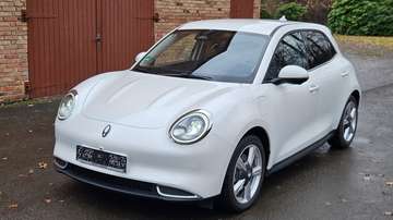 300 Pro Sitz-u Lenkradheizung GARANTIE bis 08.2028