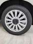Fiat 500L 1.4 95 CV Lounge Bianco - thumbnail 5