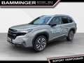 Subaru Forester 2,0i e-Boxer Premium 4x4 Grau - thumbnail 3