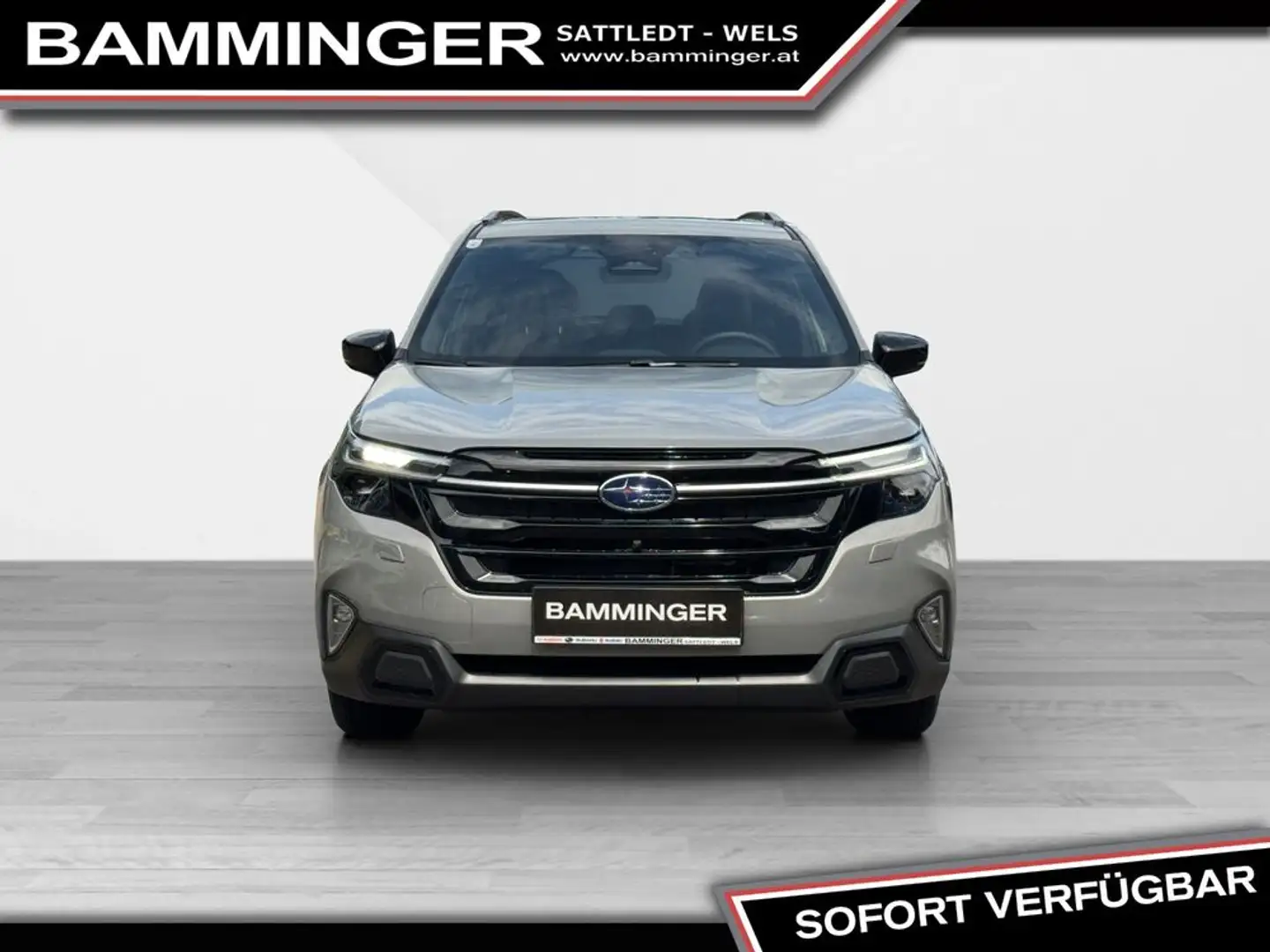 Subaru Forester 2,0i e-Boxer Premium 4x4 Grau - 2
